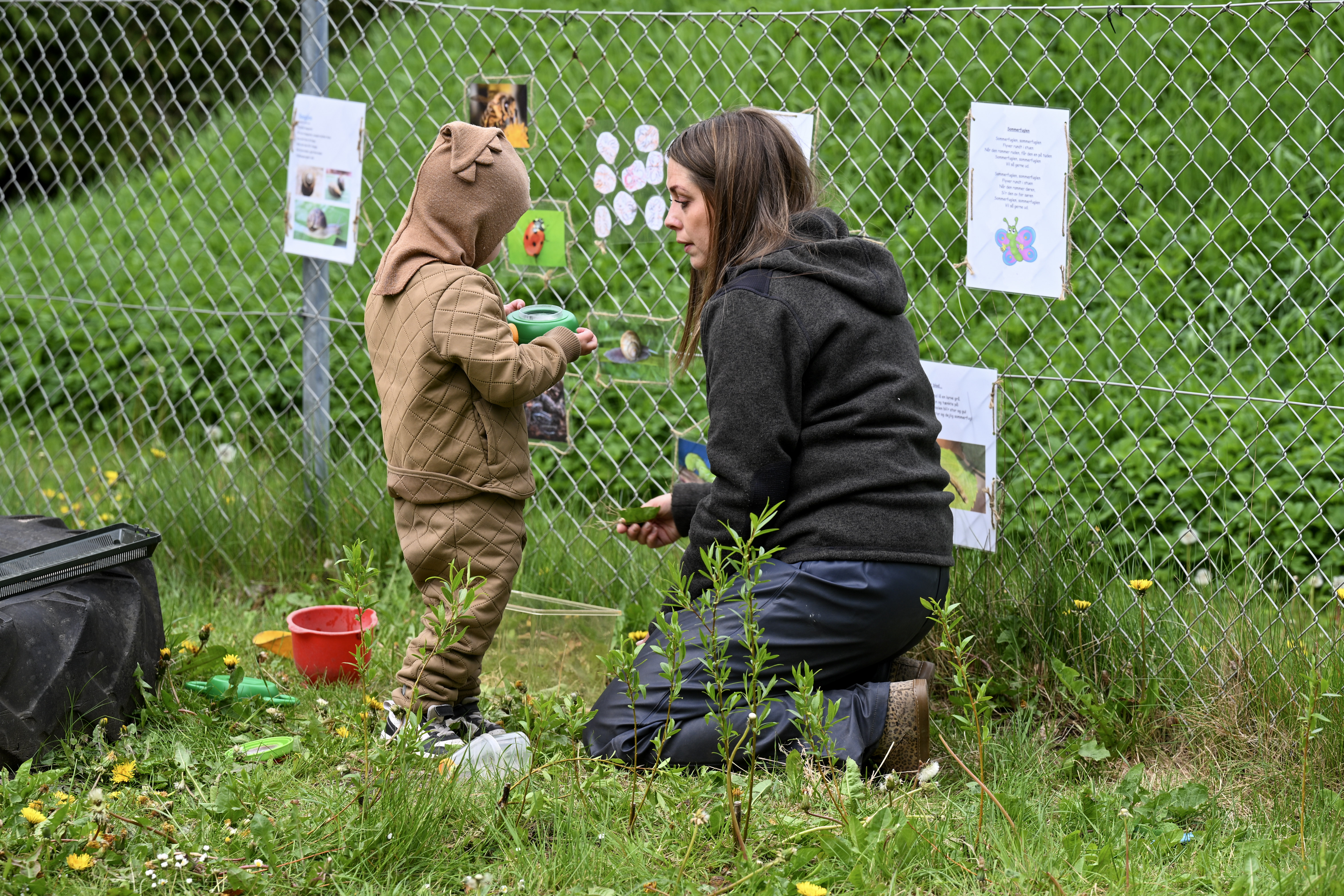 Barn og voksen kigger på insekter